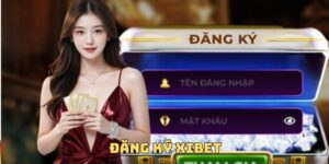 Xibet