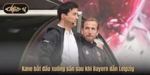Harry Kane