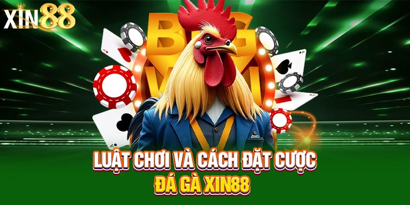luật đá gà