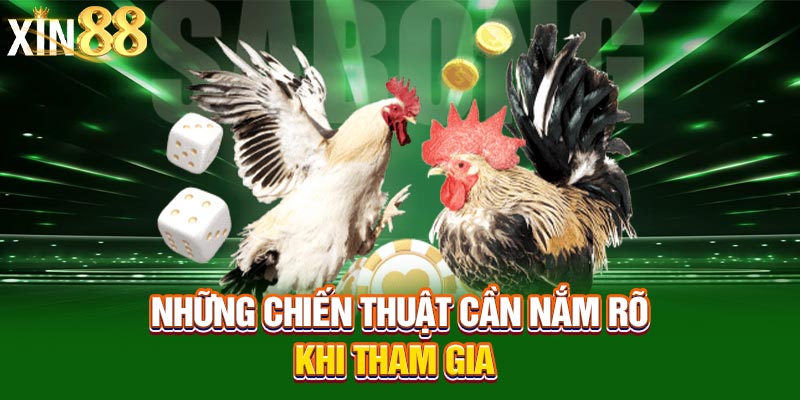 đá gà